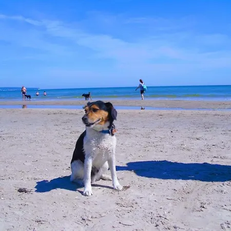 19 Im Strandhaus Casa vacanze